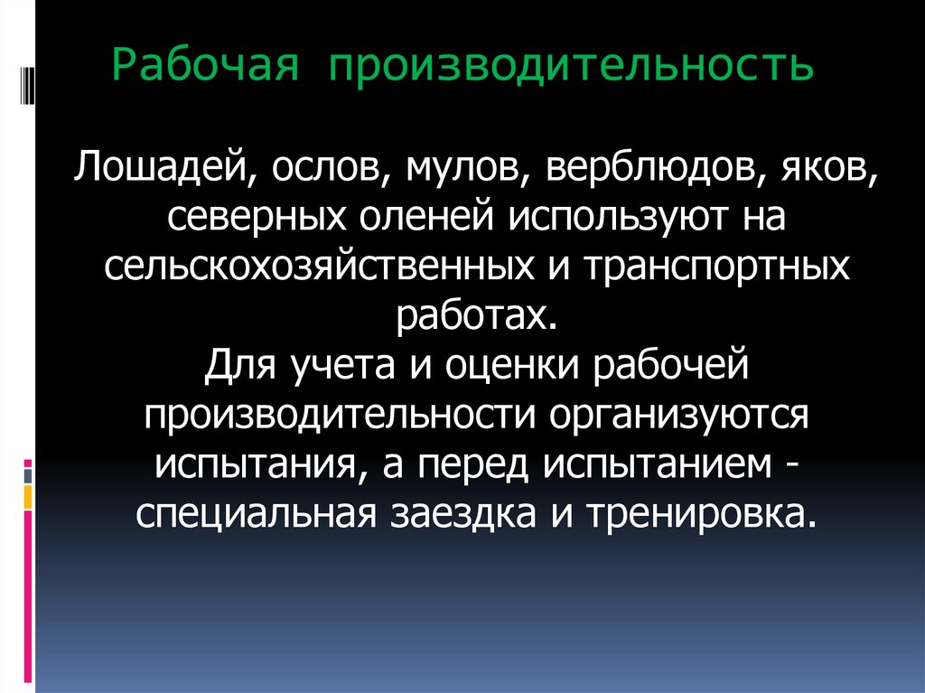 Рабочая производительность