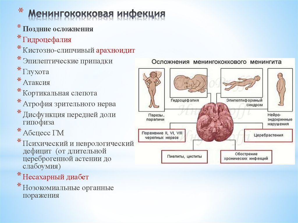 Менингококковая инфекция