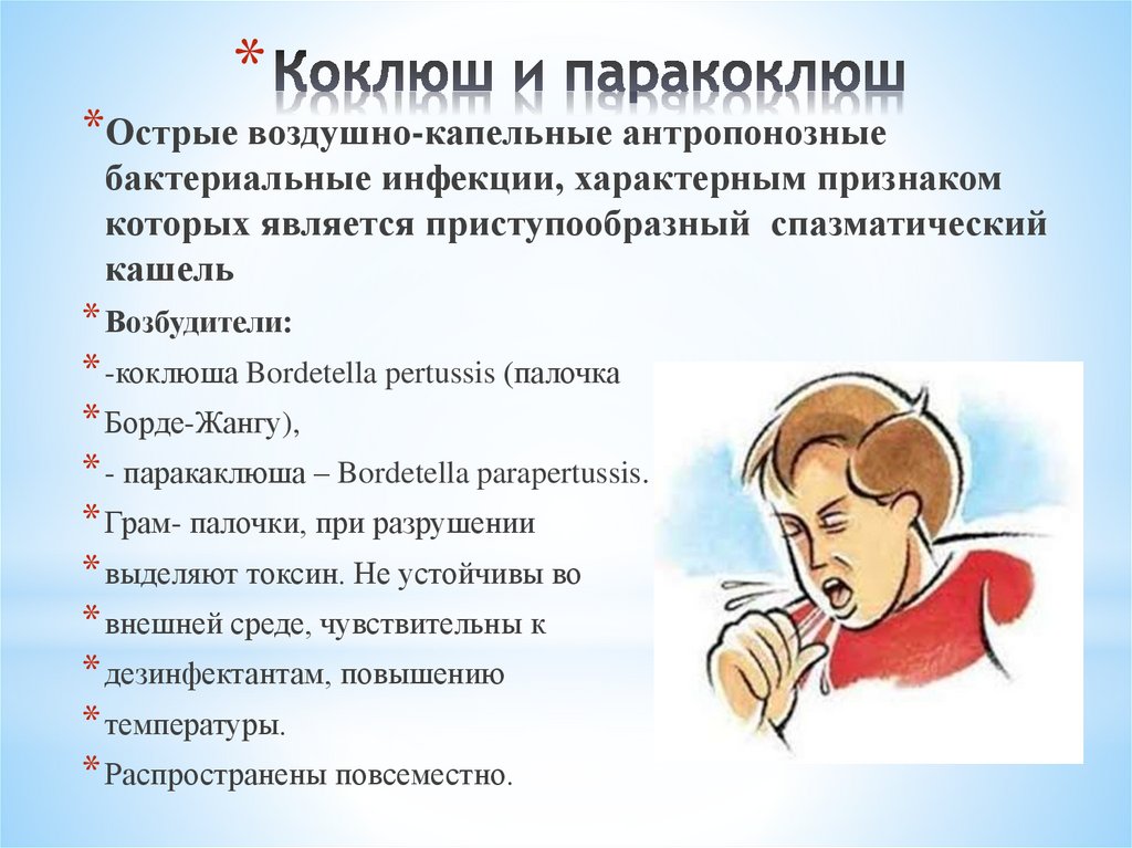 Коклюш и паракоклюш