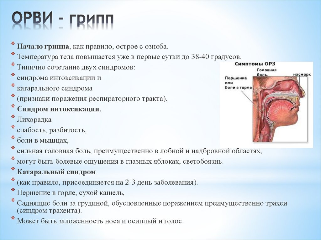 ОРВИ - грипп