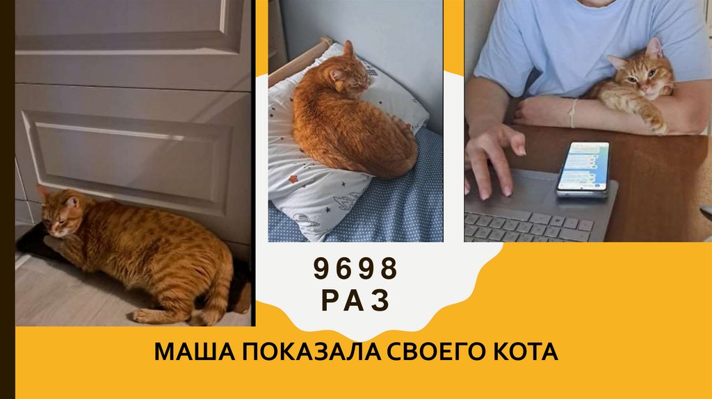 9698 раз