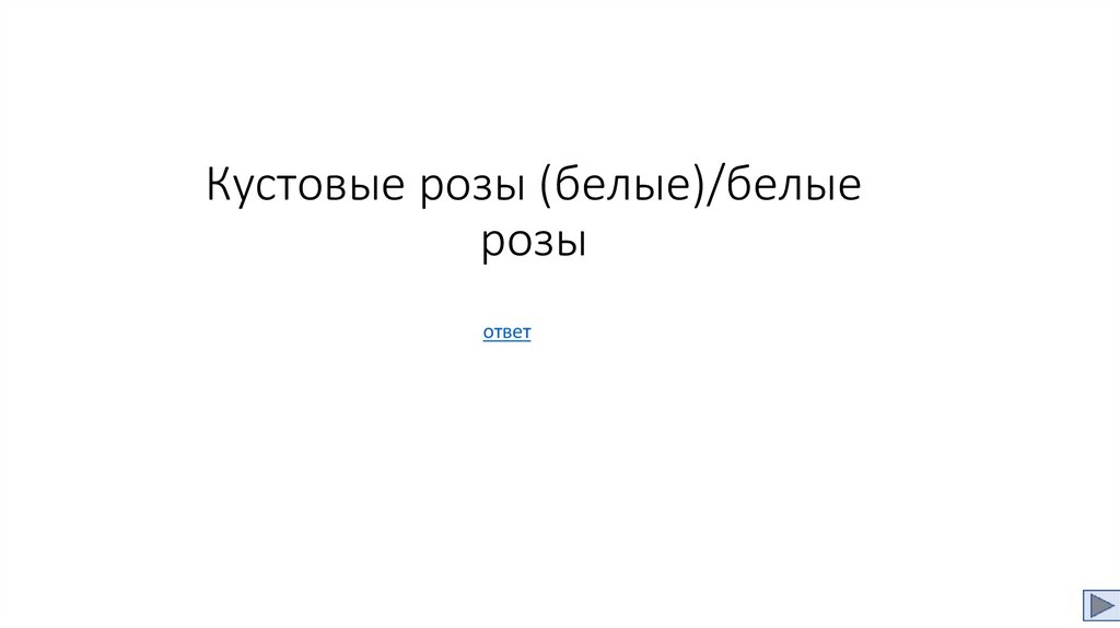 Кустовые розы (белые)/белые розы