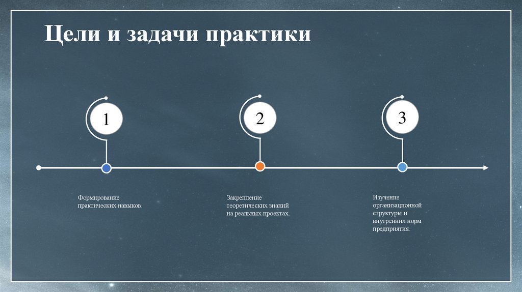  Цели и задачи практики