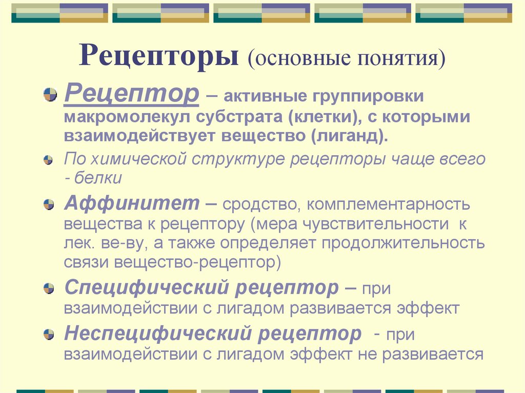 Рецепторы (основные понятия)