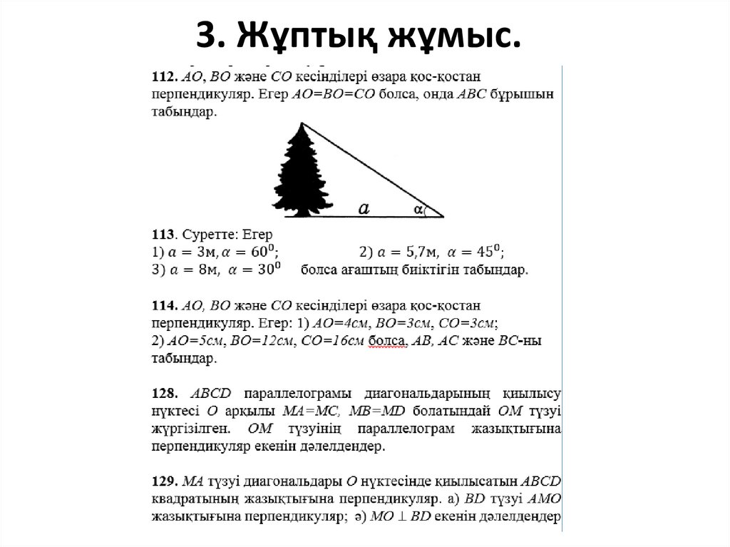 3. Жұптық жұмыс.