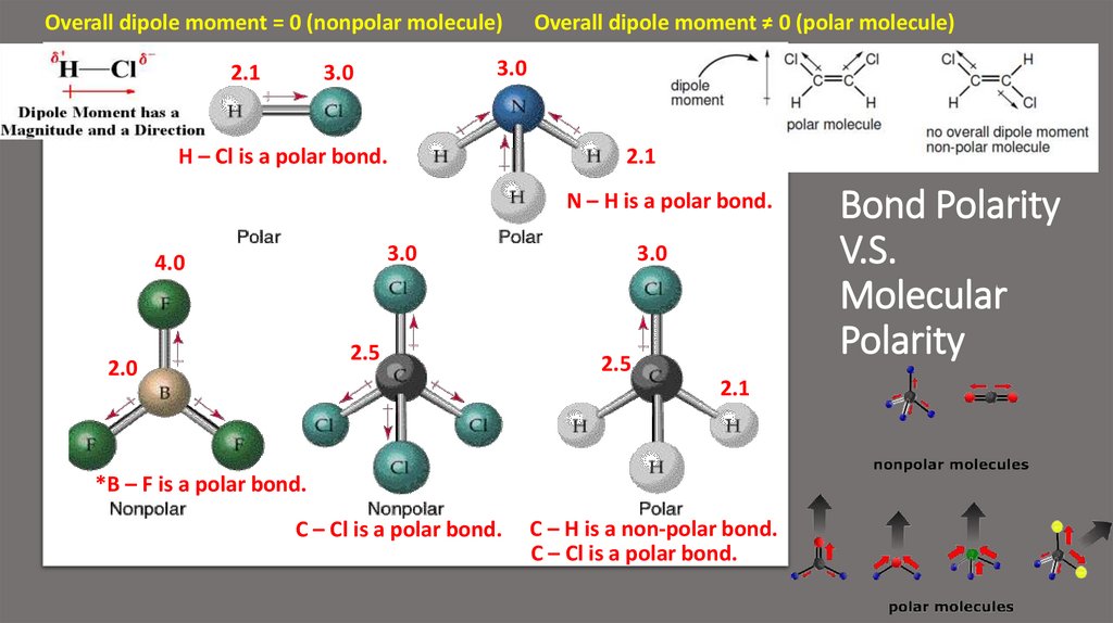 Bond Polarity V.S. Molecular Polarity