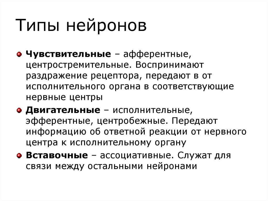 Типы нейронов
