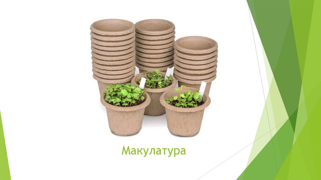 Макулатура