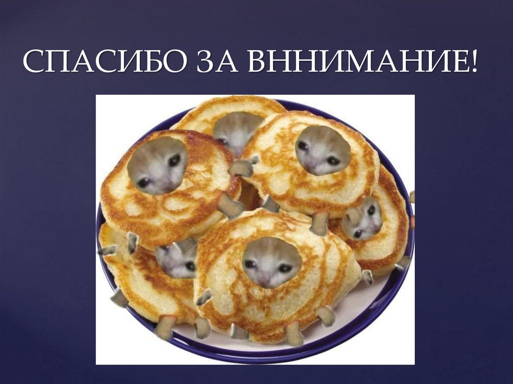 СПАСИБО ЗА ВННИМАНИЕ!