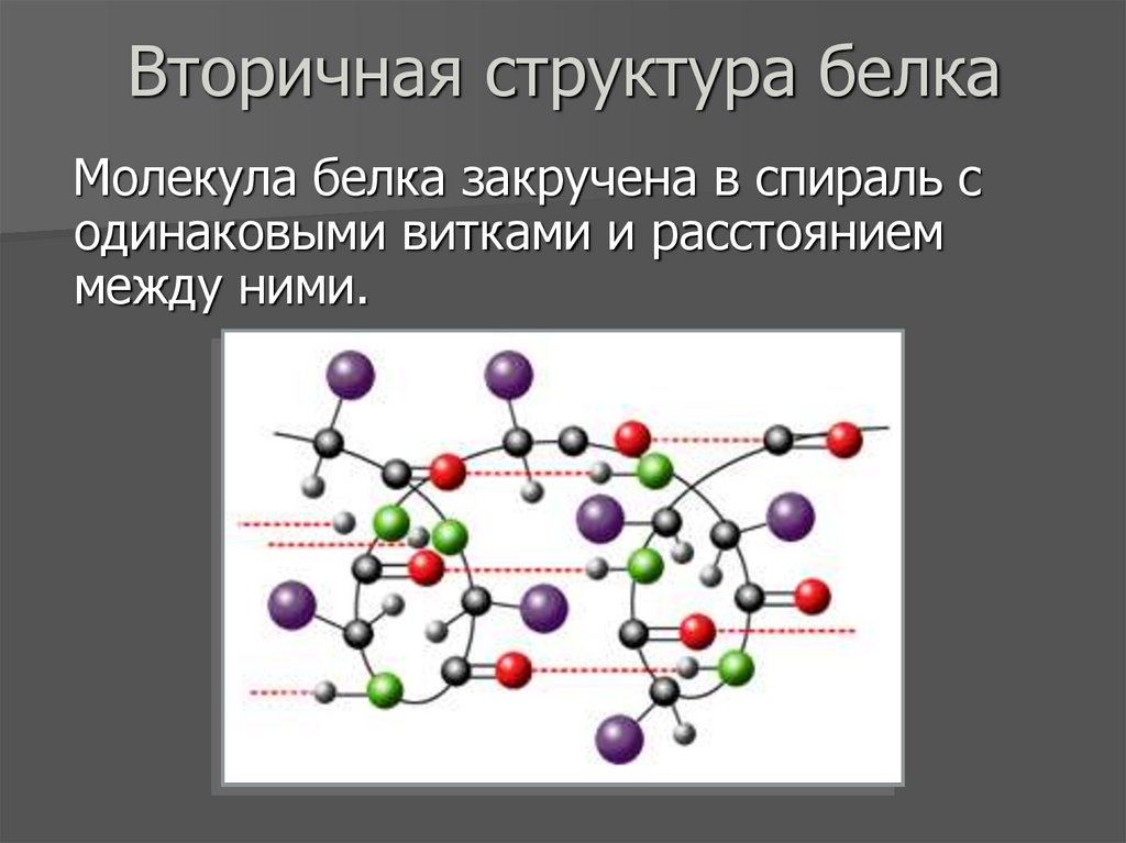 Вторичная структура белка