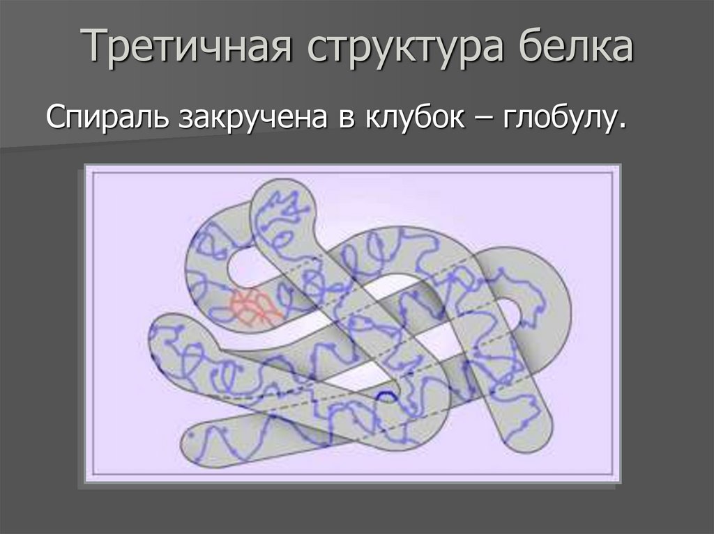 Третичная структура белка