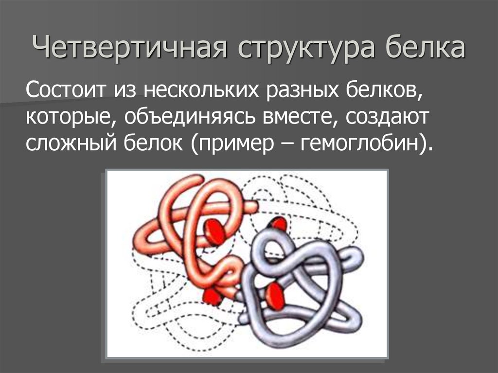 Четвертичная структура белка