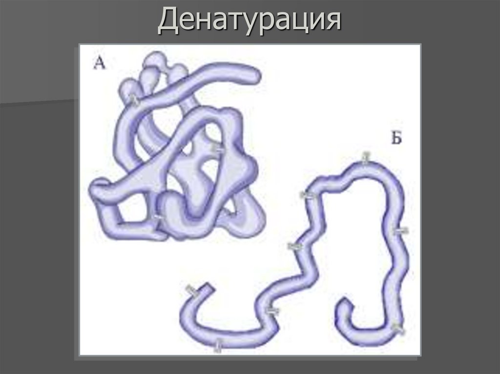 Денатурация