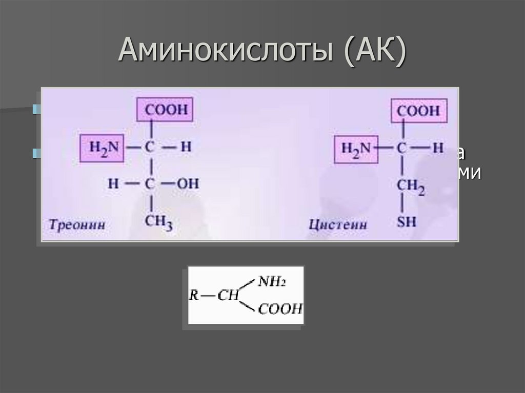 Аминокислоты (АК)