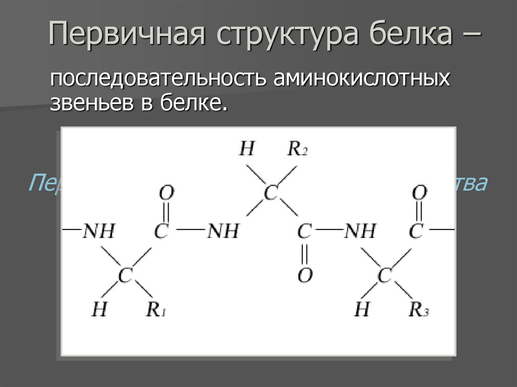 Первичная структура белка –