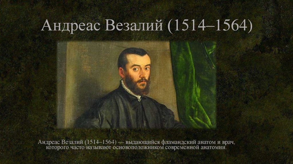 Андреас Везалий (1514–1564)