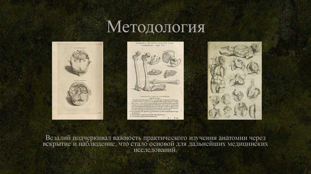 Методология