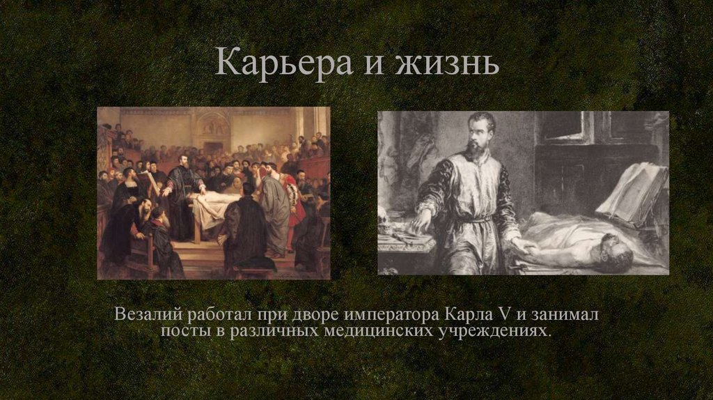 Карьера и жизнь