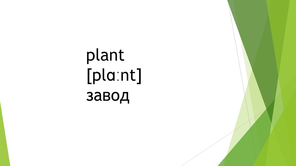 plant [plɑːnt] завод