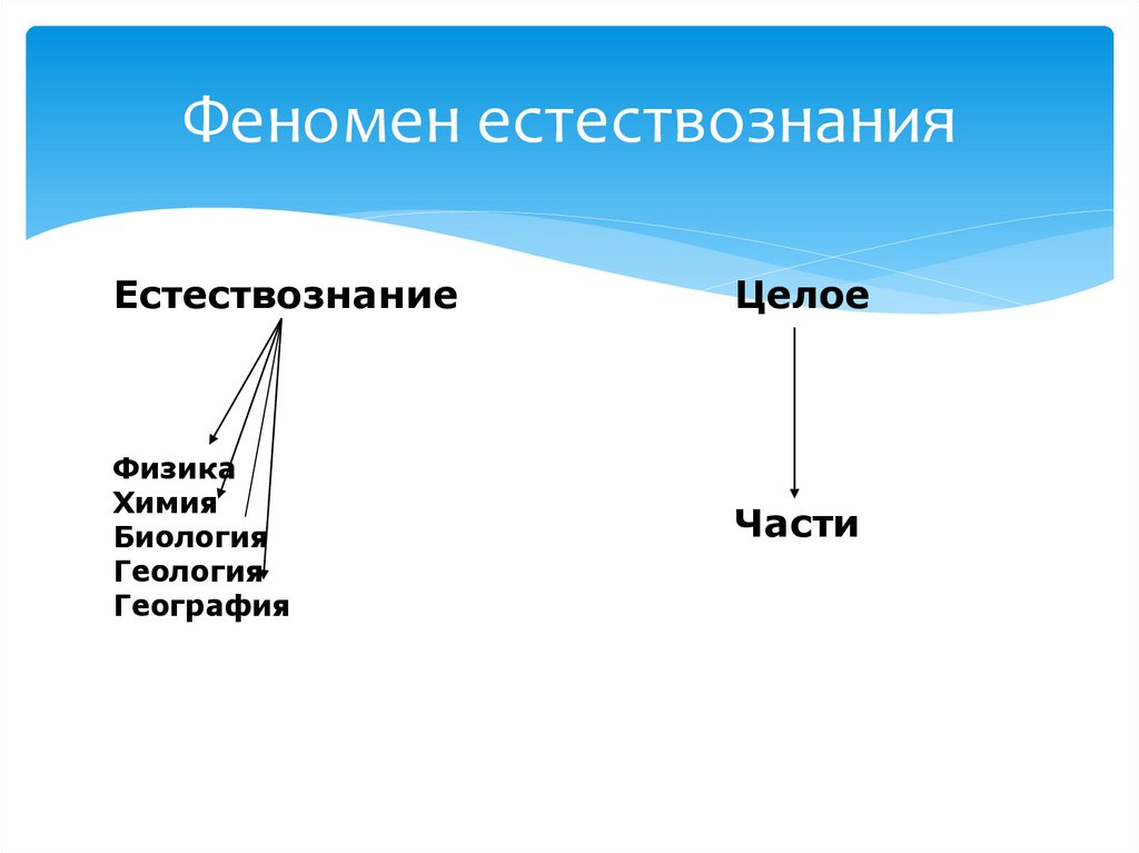 Феномен естествознания