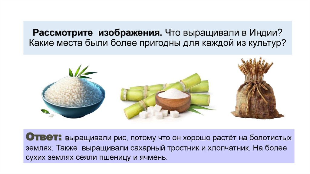 Рассмотрите изображения. Что выращивали в Индии? Какие места были более пригодны для каждой из культур?