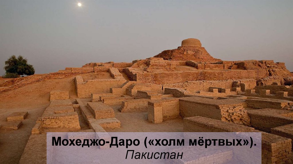 Мохеджо-Даро («холм мёртвых»). Пакистан