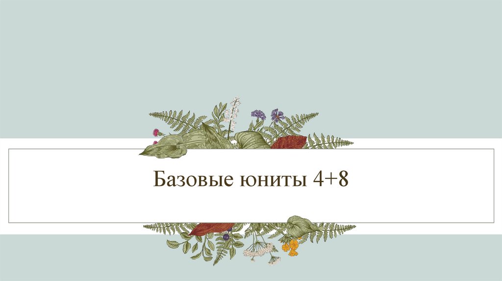 Базовые юниты 4+8