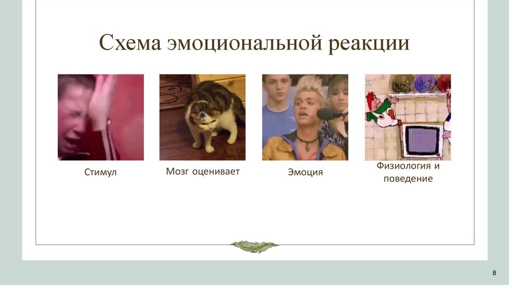 Схема эмоциональной реакции