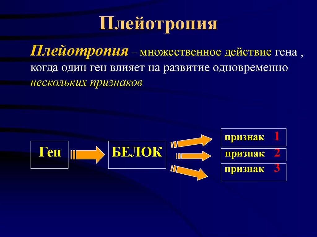 Плейотропия