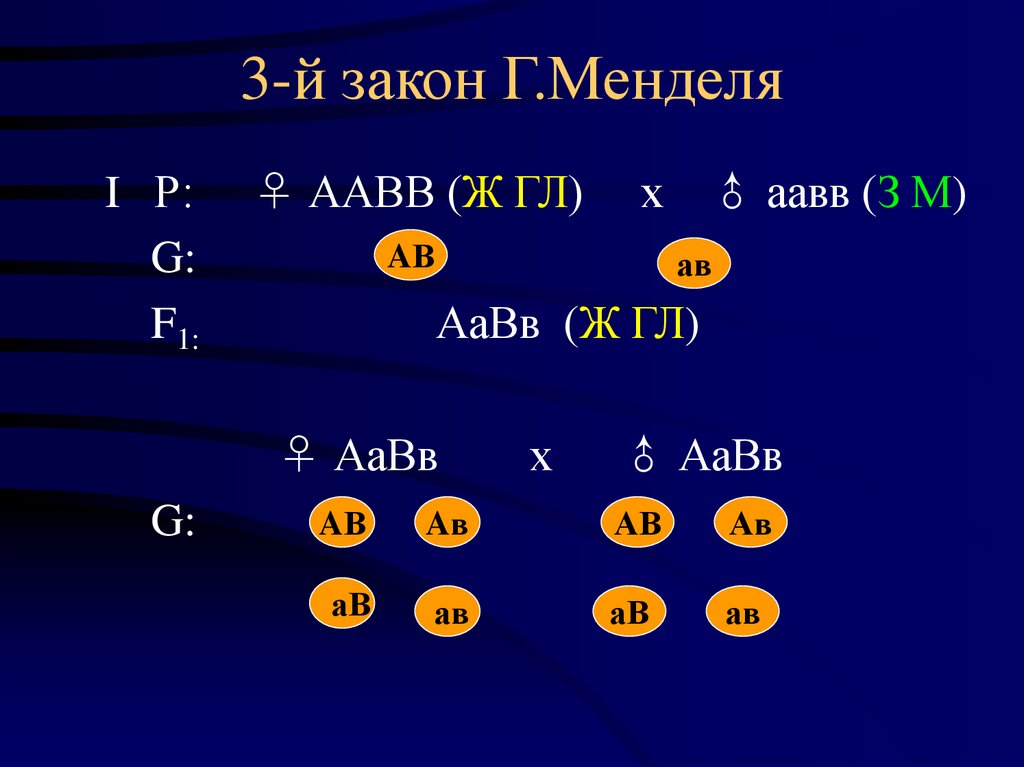3-й закон Г.Менделя