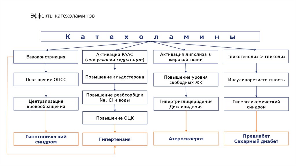 Эффекты катехоламинов