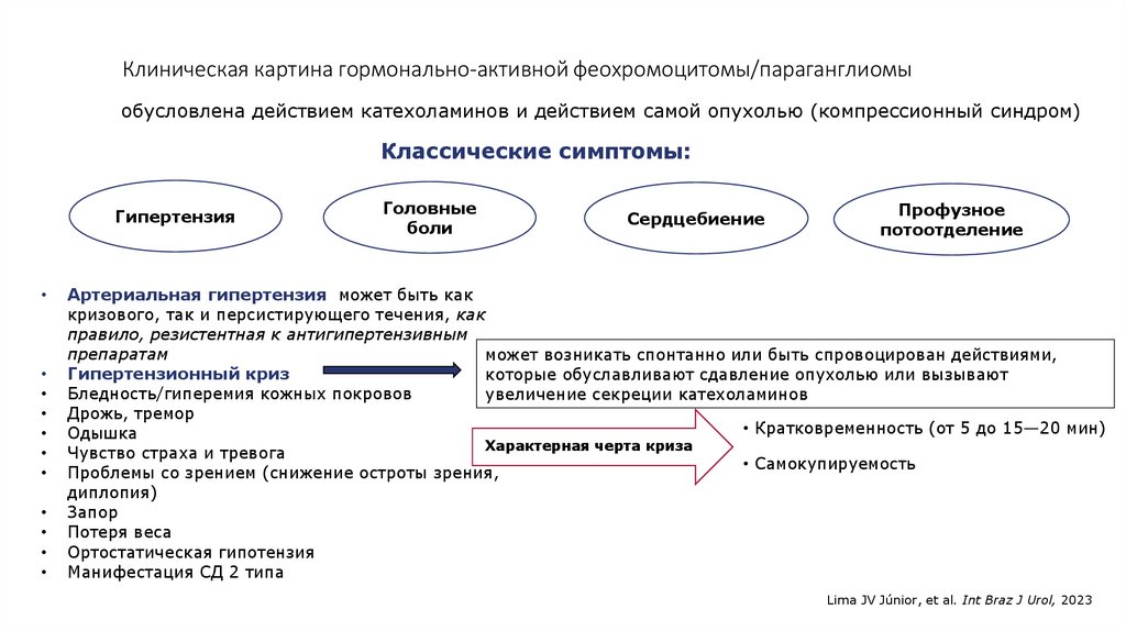 Клиническая картина гормонально-активной феохромоцитомы/параганглиомы