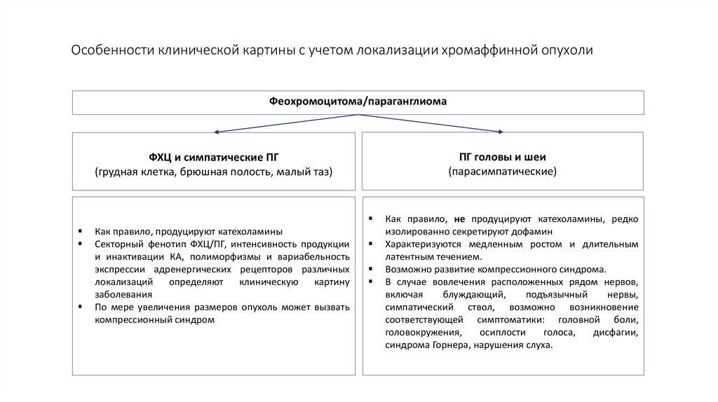 Особенности клинической картины с учетом локализации хромаффинной опухоли