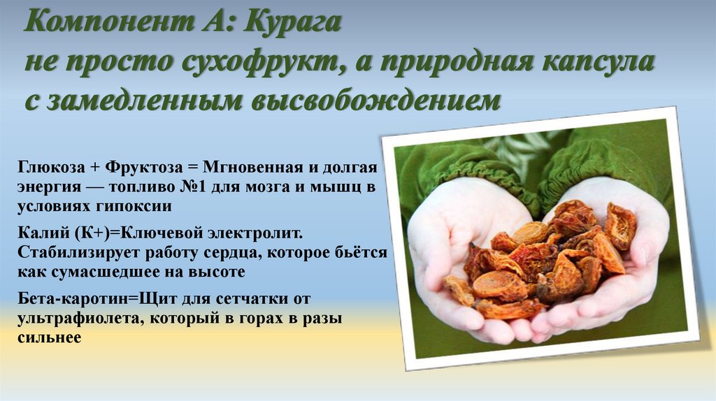 Компонент А: Курага не просто сухофрукт, а природная капсула с замедленным высвобождением