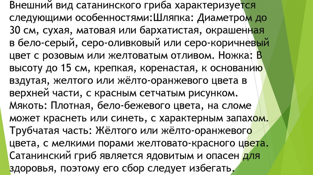 Внешний вид сатанинского гриба характеризуется следующими особенностями:Шляпка: Диаметром до 30 см, сухая, матовая или