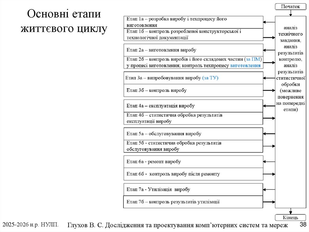 Основні етапи життєвого циклу