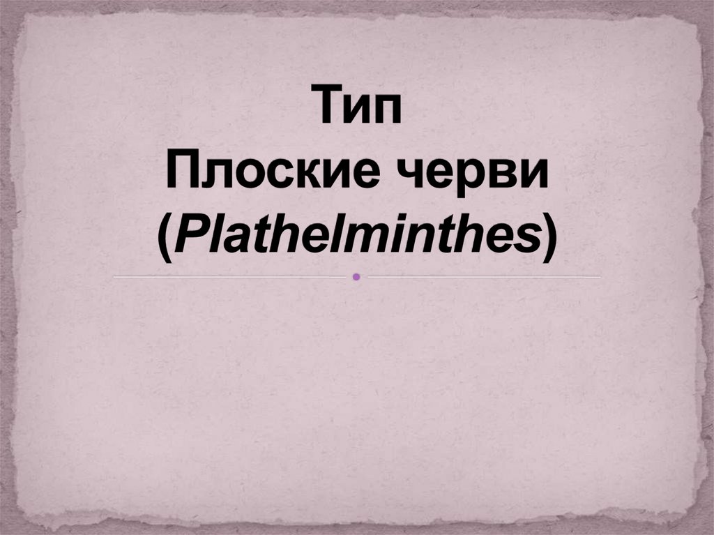 Тип Плоские черви (Plathelminthes)