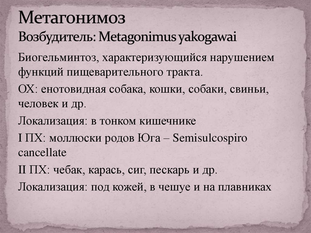 Метагонимоз Возбудитель: Metagonimus yakogawai