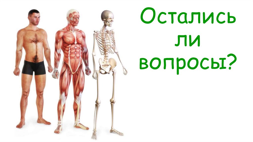 Остались ли вопросы?