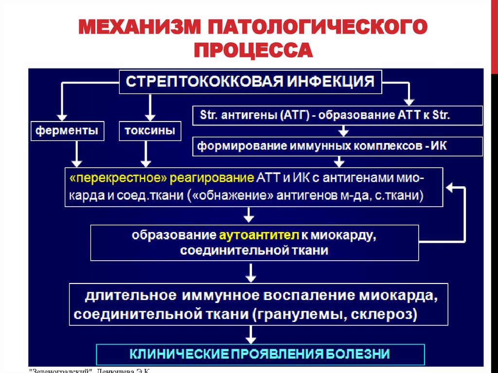 Механизм патологического процесса