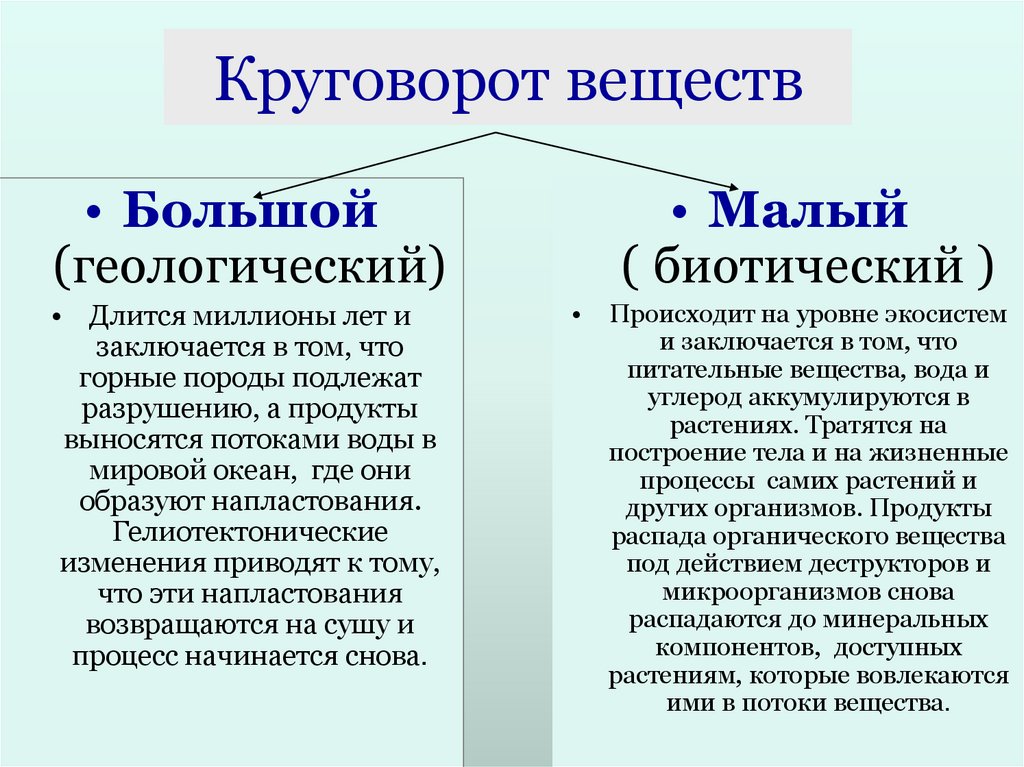 Круговорот веществ