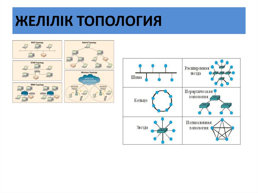 ЖЕЛІЛІК ТОПОЛОГИЯ