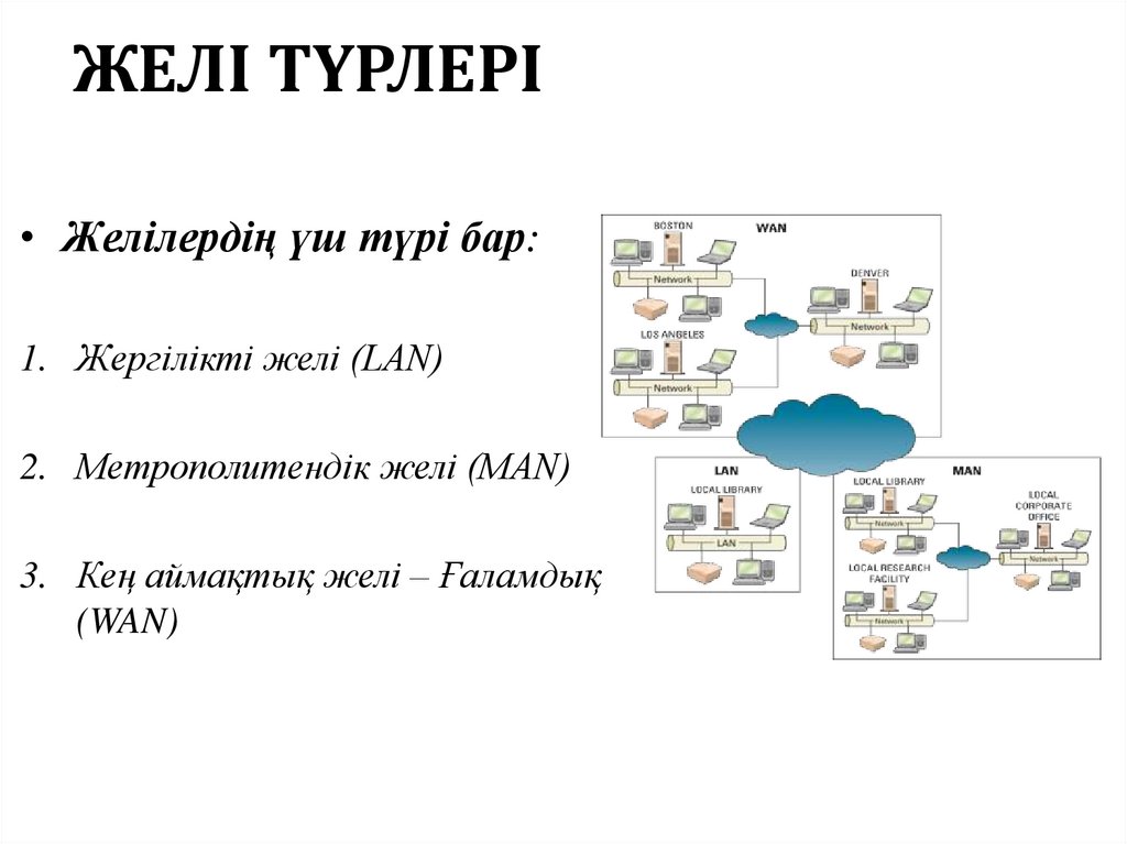 ЖЕЛІ ТҮРЛЕРІ