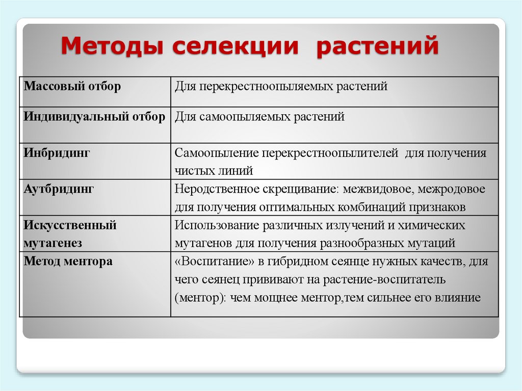 Методы селекции растений