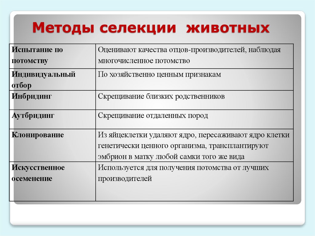 Методы селекции животных