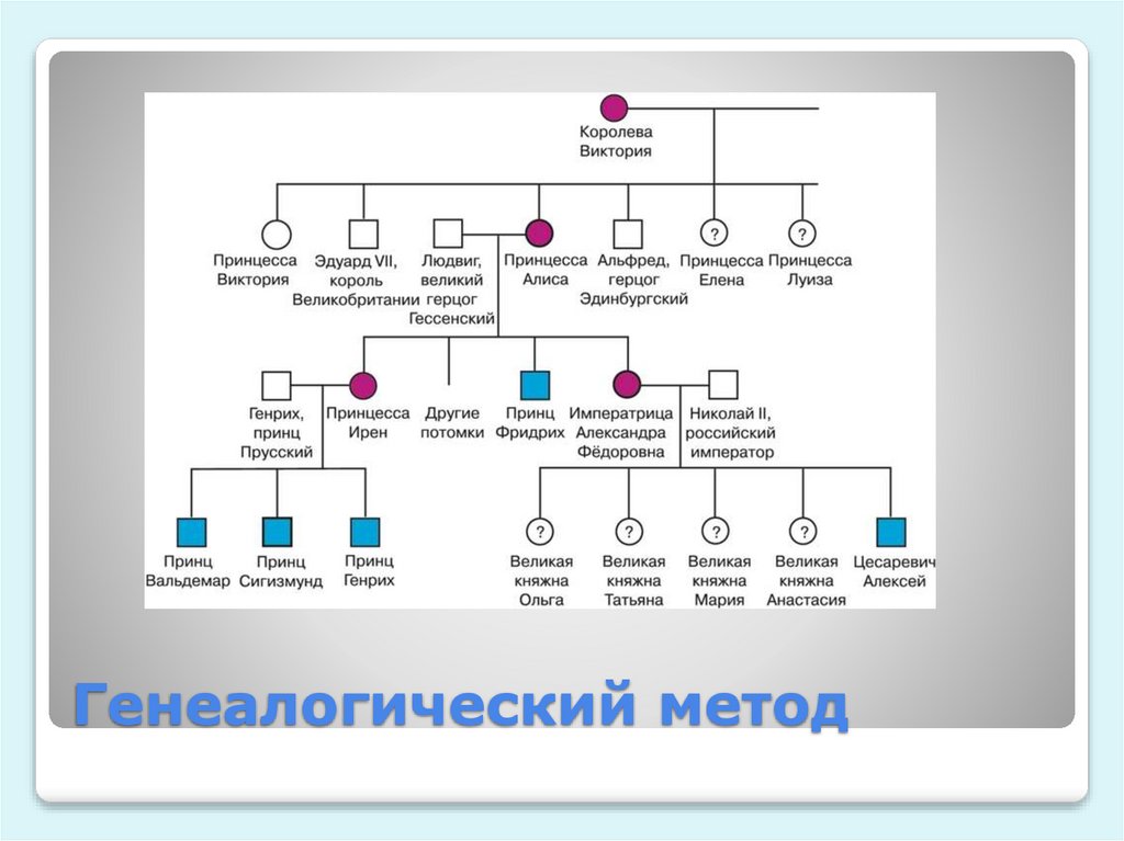 Генеалогический метод