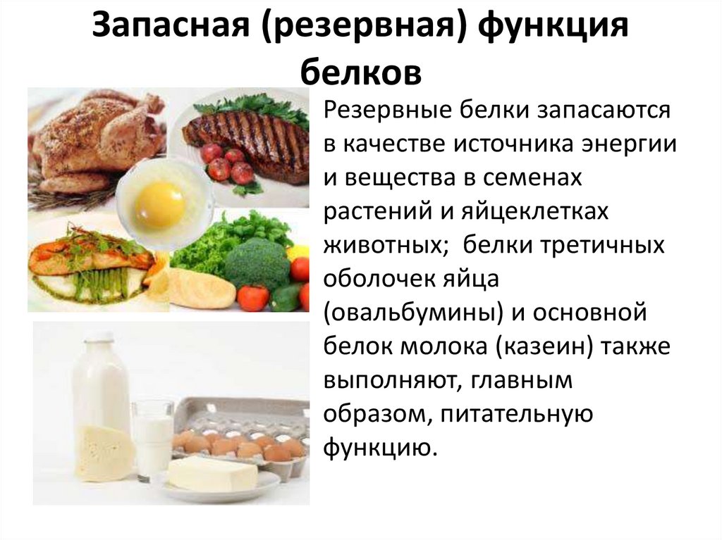 Запасная (резервная) функция белков