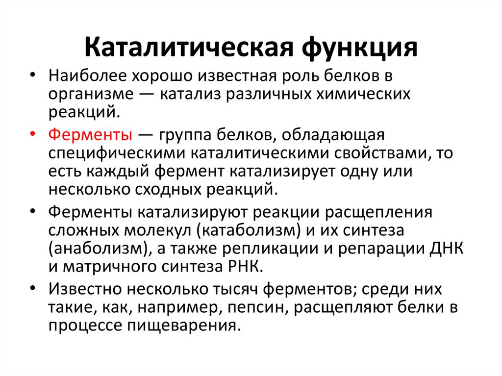 Каталитическая функция