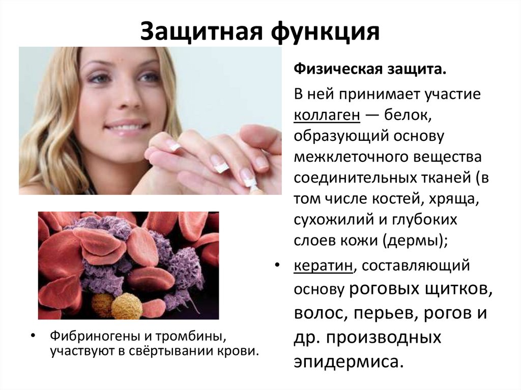 Защитная функция