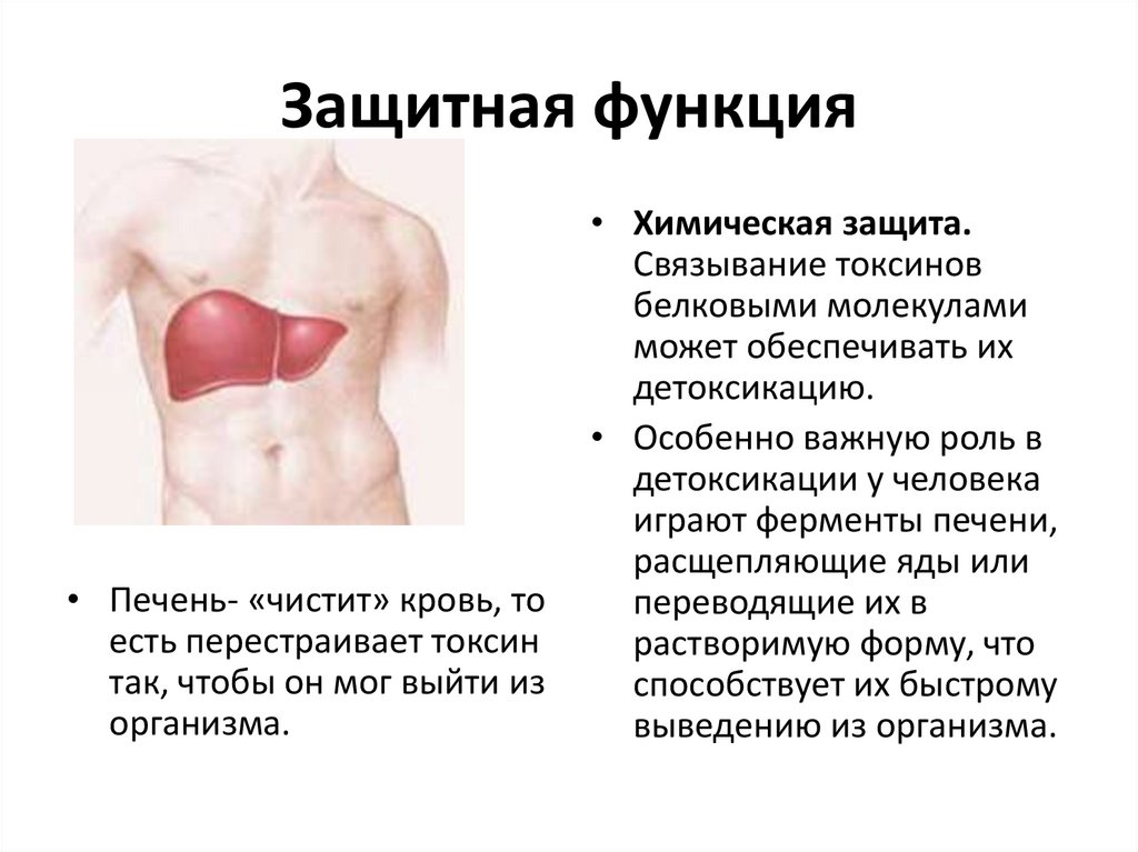 Защитная функция
